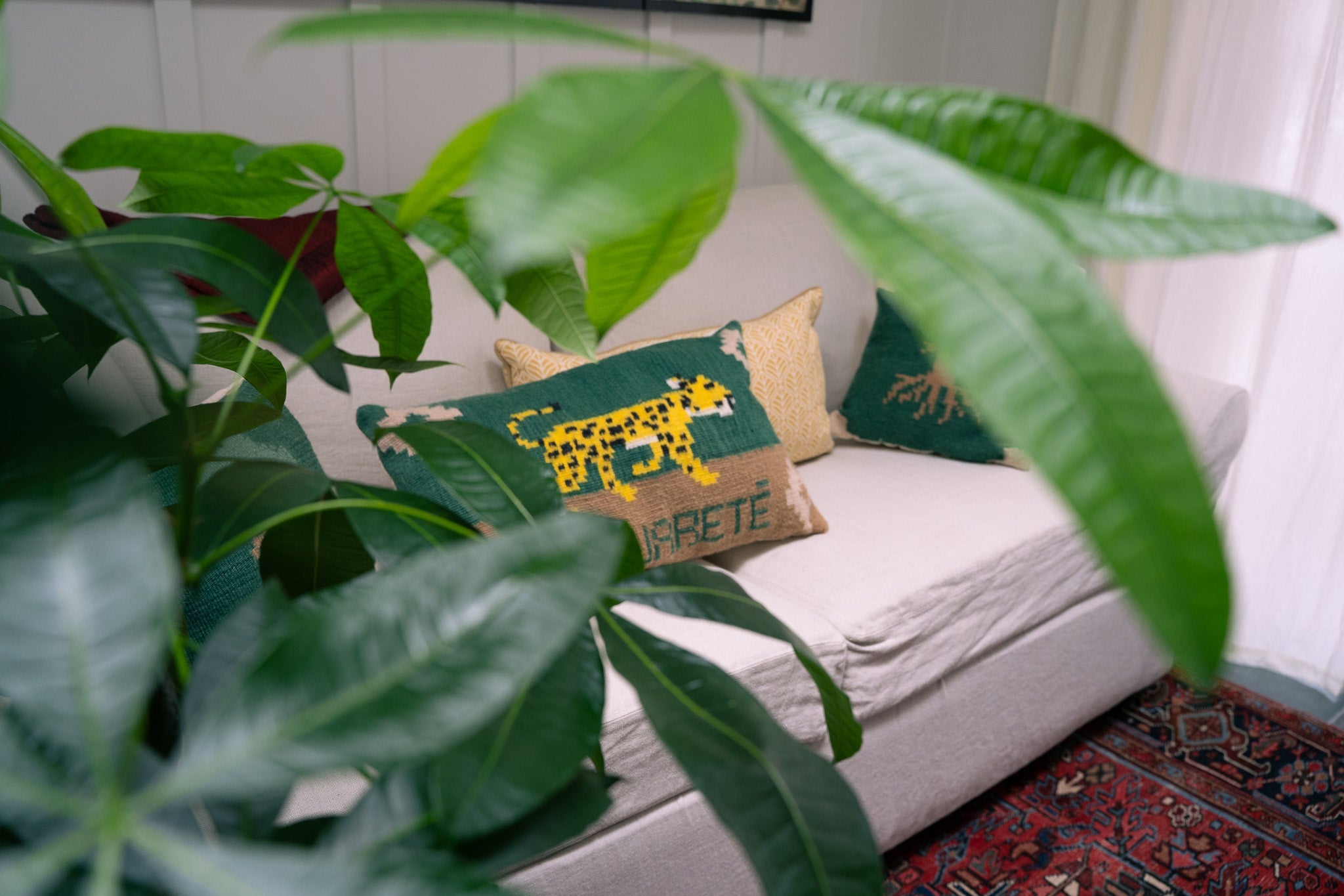 The Jaguar Woven Set