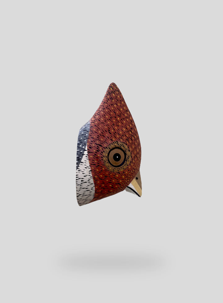 The Cardinal