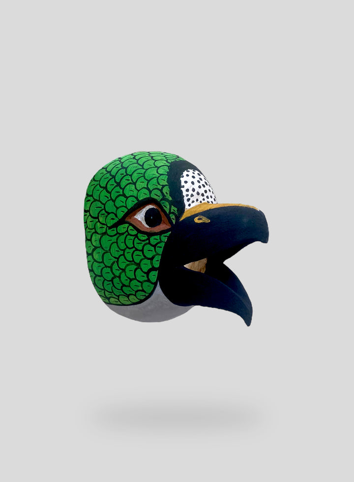 The Singing Parrot