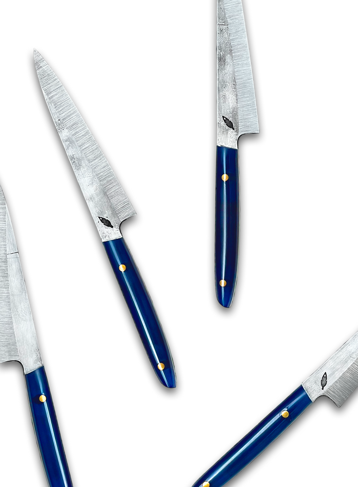 Table Knife Set in Blue