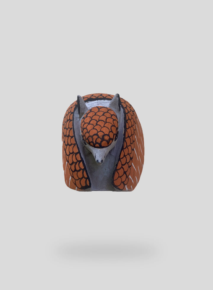 The Armadillo
