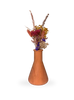 Fireland Cherry