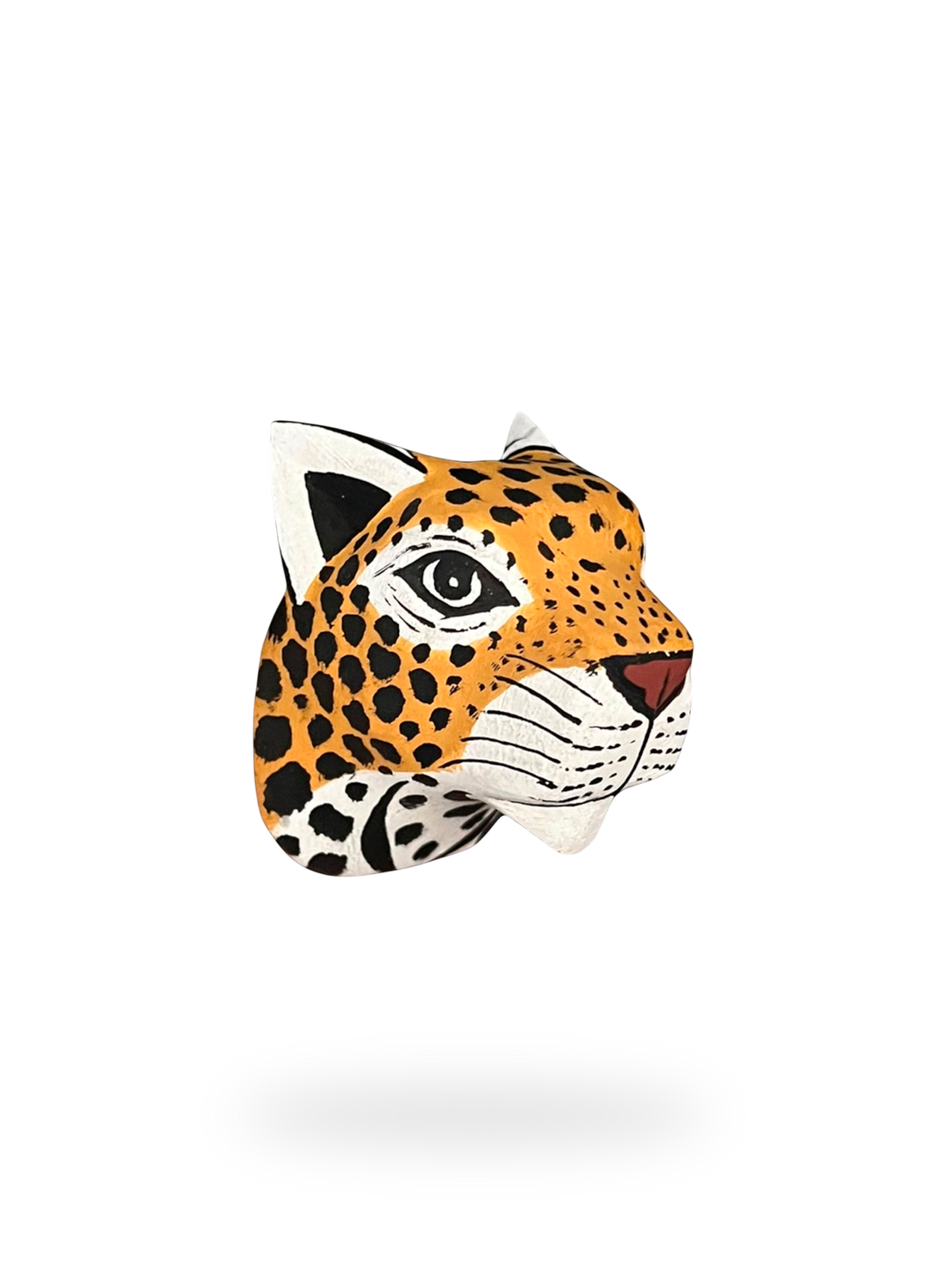 The Little Jaguar