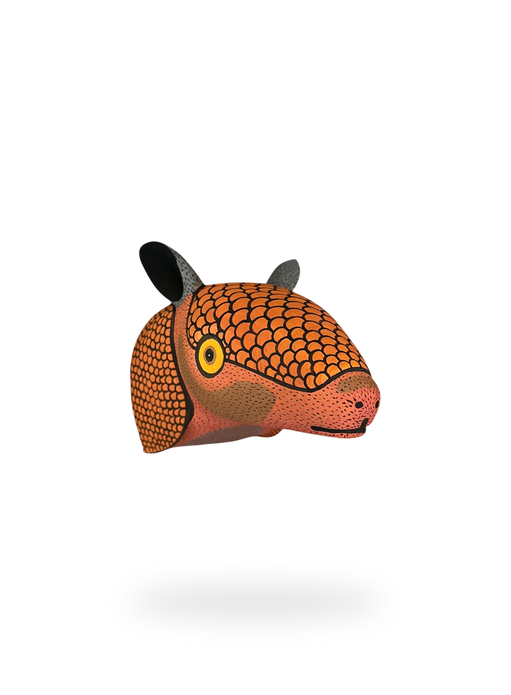 The Large Armadillo