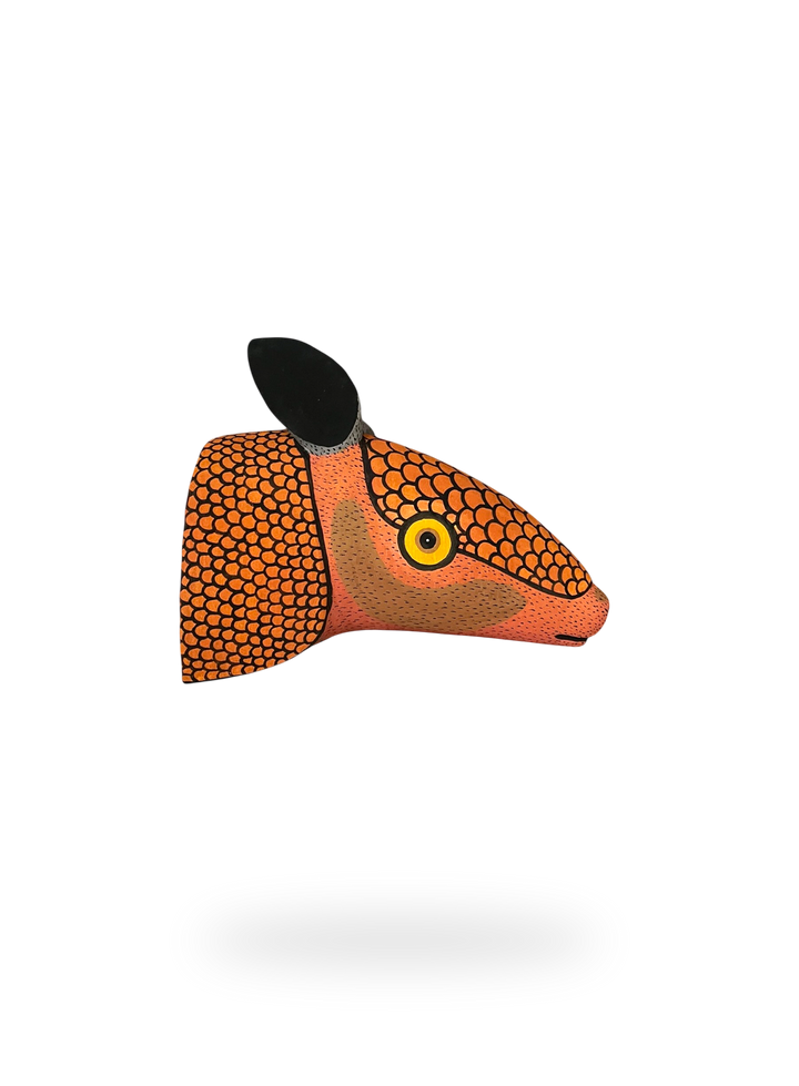 The Large Armadillo