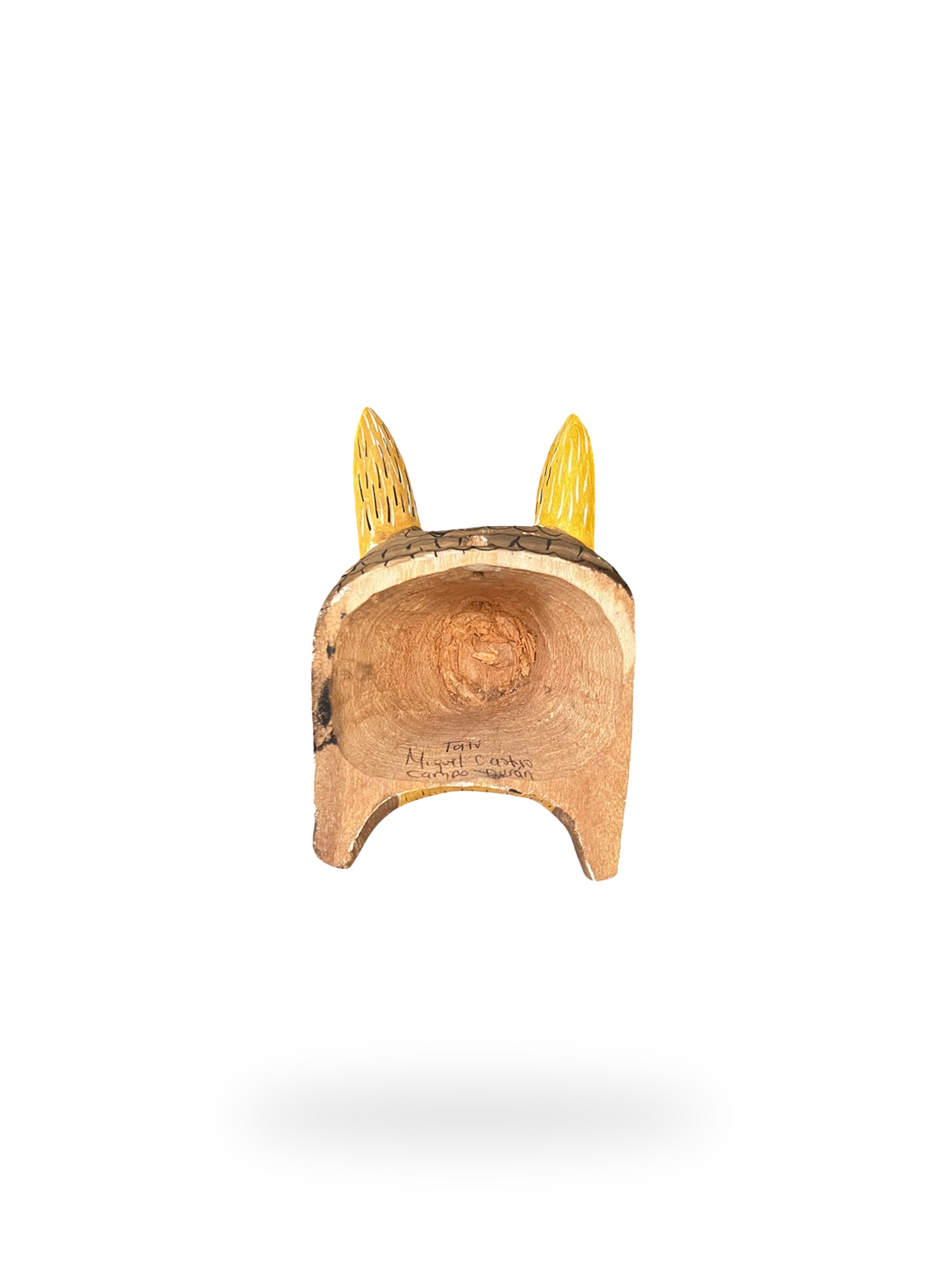 The Armadillo