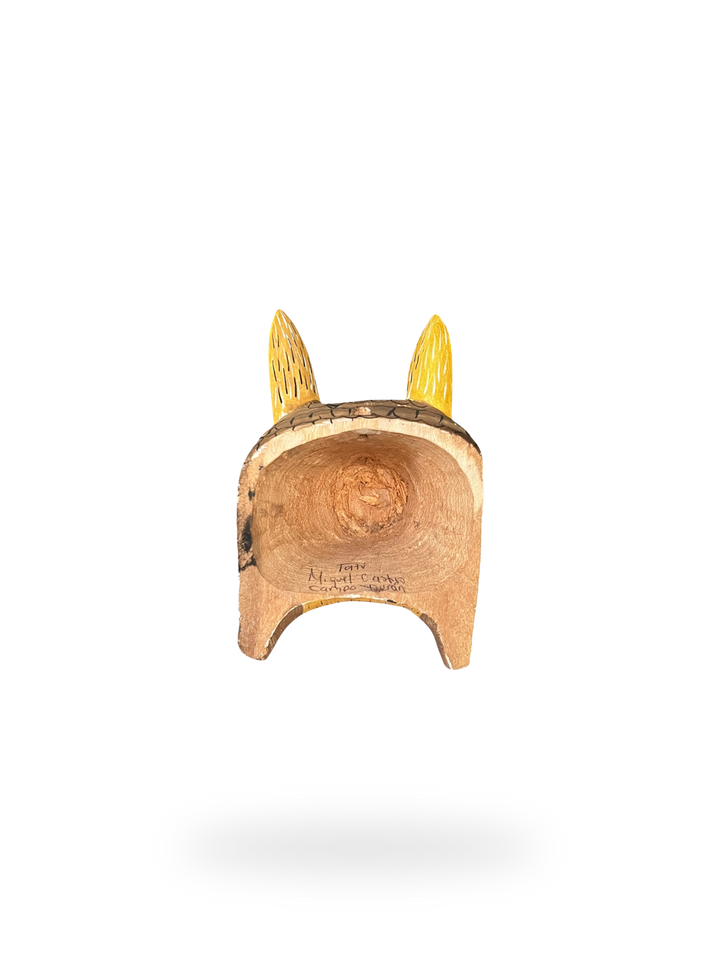 The Armadillo