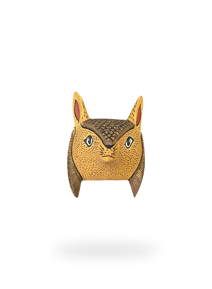 The Little Armadillo