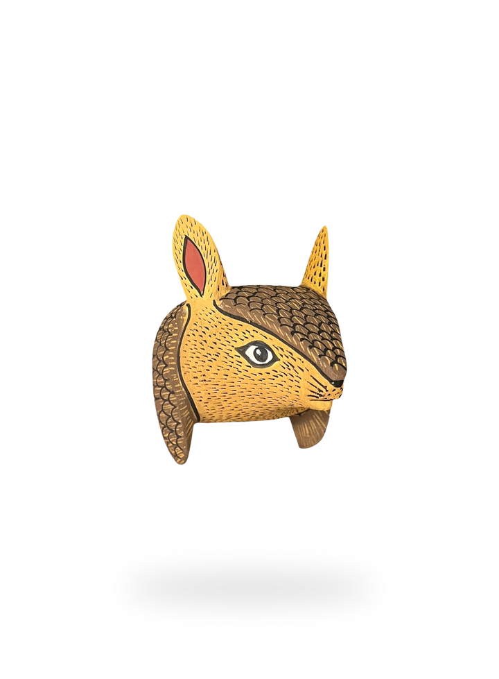 The Little Armadillo