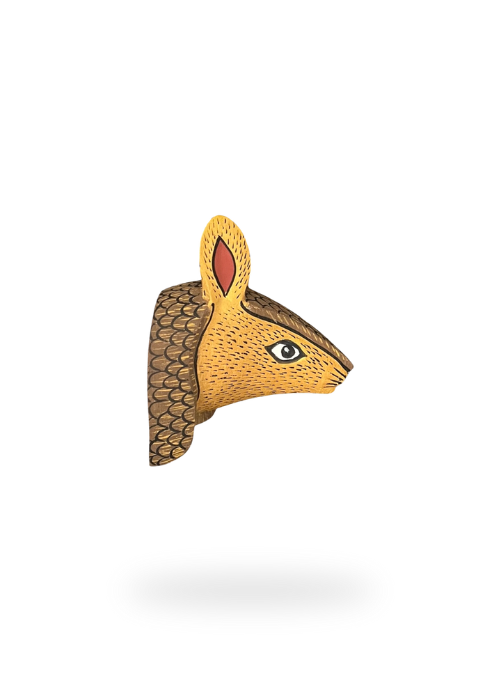 The Little Armadillo