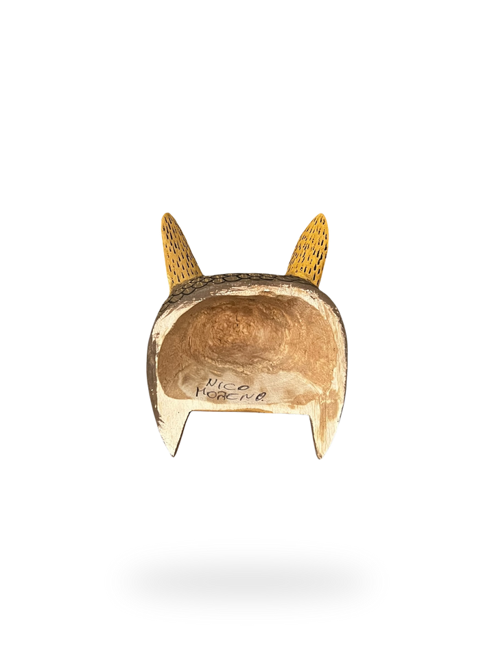 The Little Armadillo