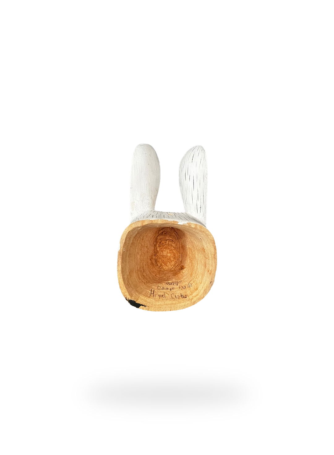 The White Bunny