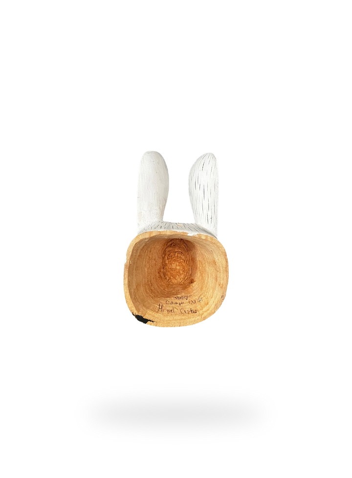 The White Bunny
