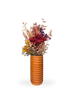 Fireland Cherry