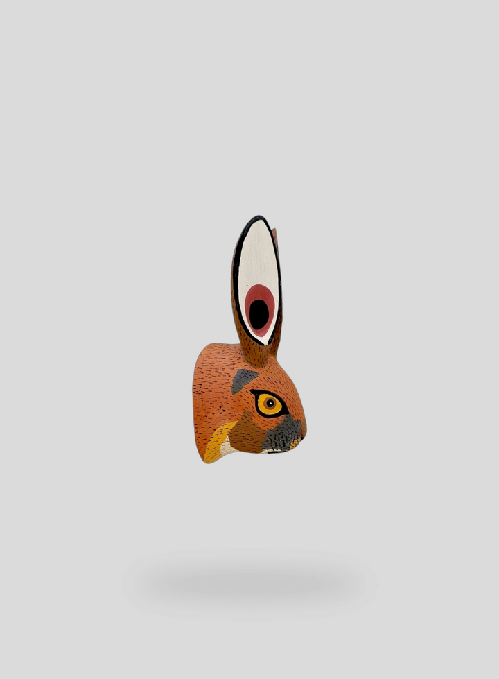 The Little Hare