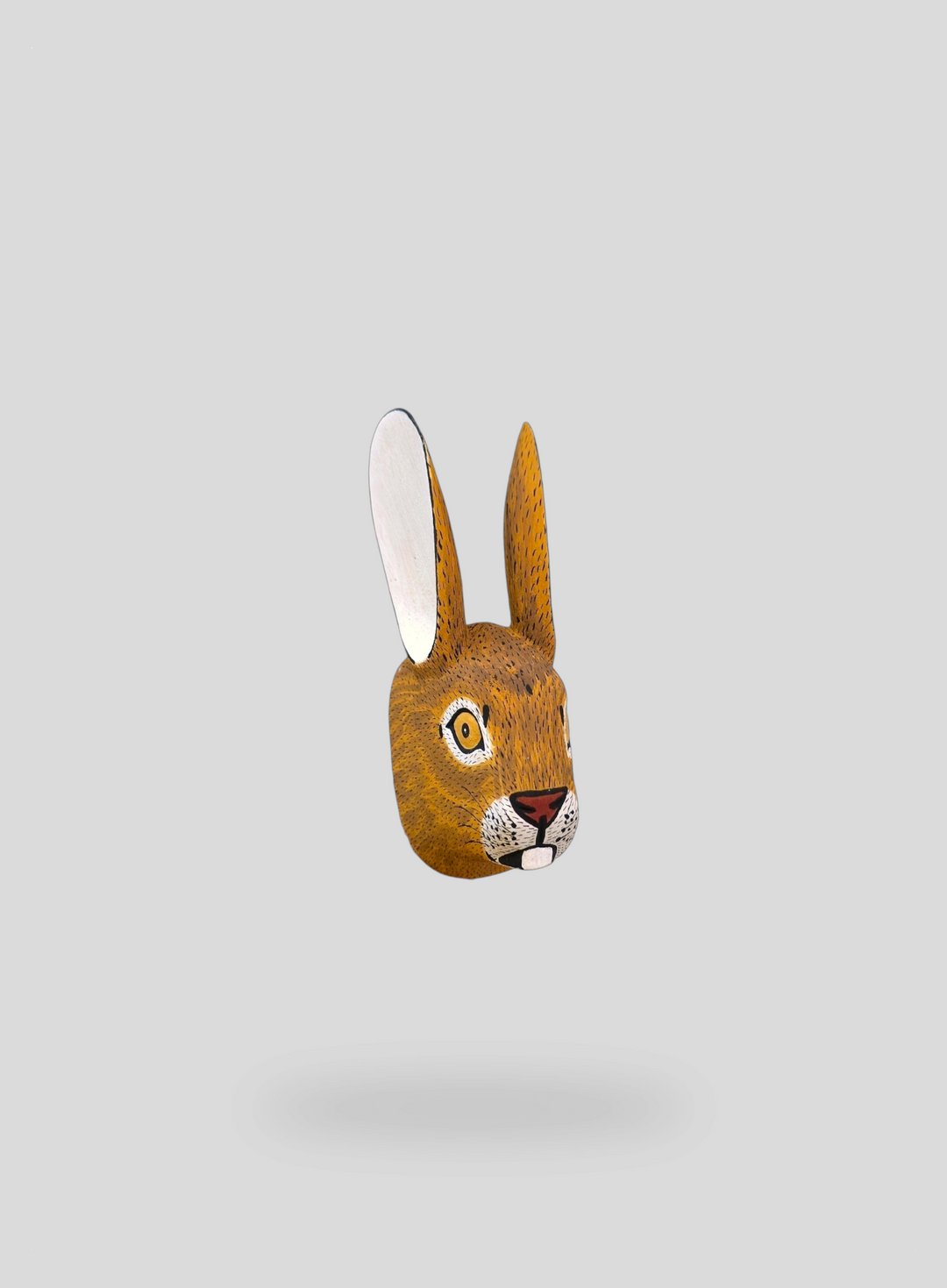 The Bunny