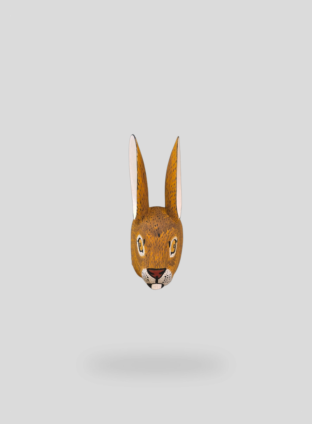 The Bunny