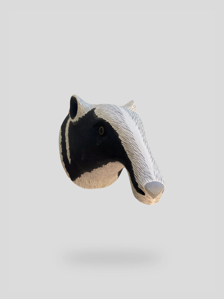 The Anteater