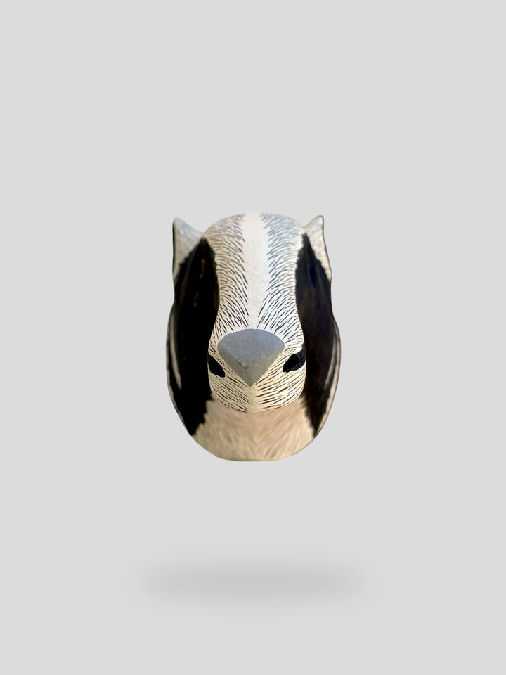 The Anteater