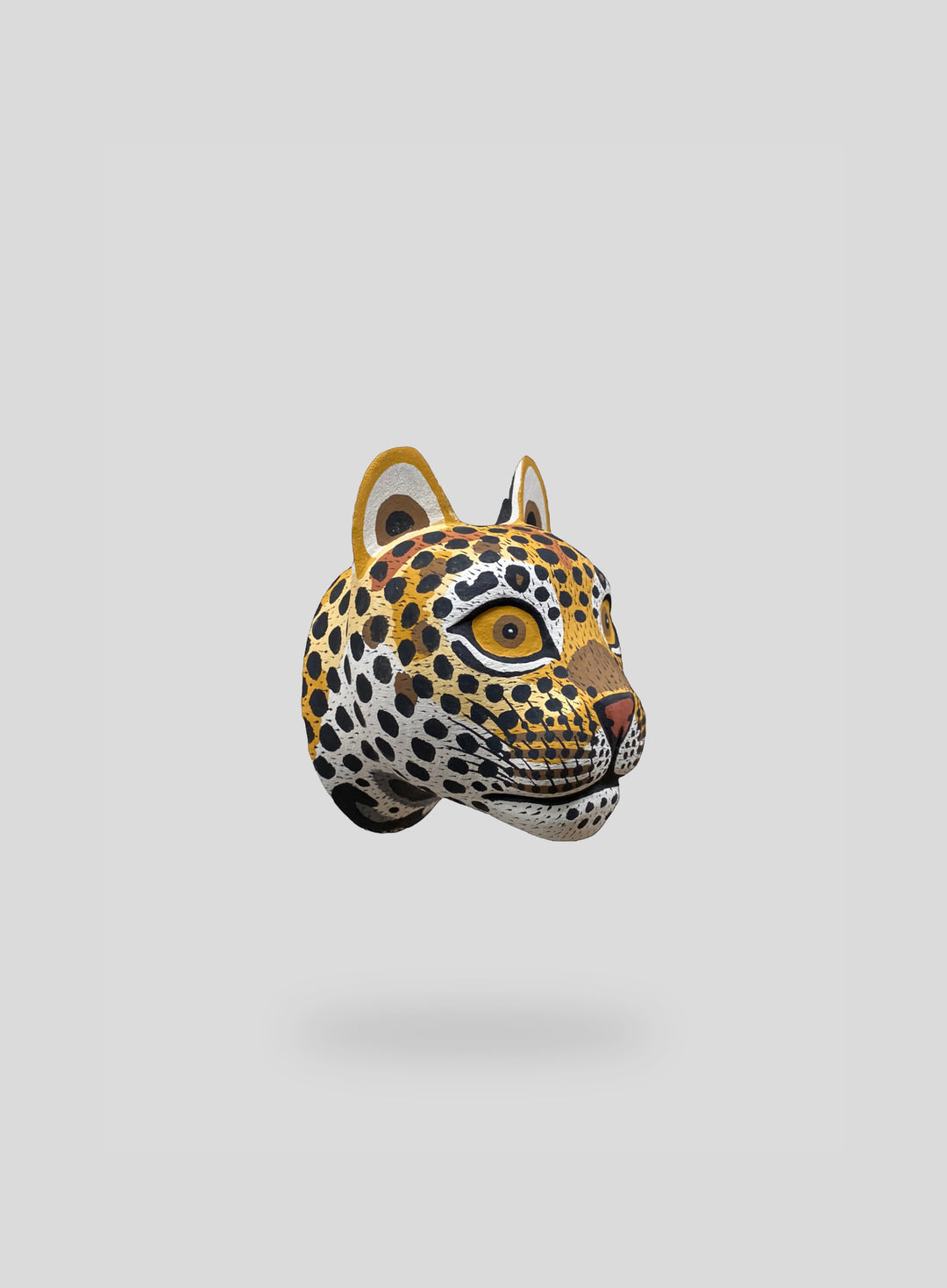 The Cheetah