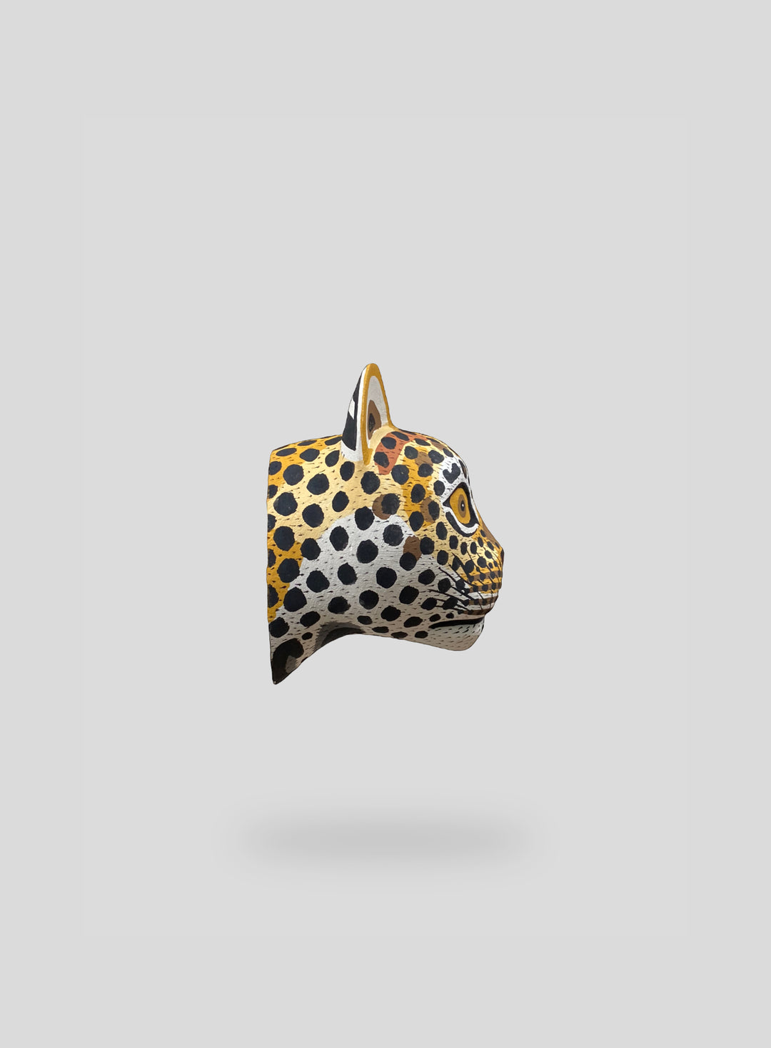 The Cheetah