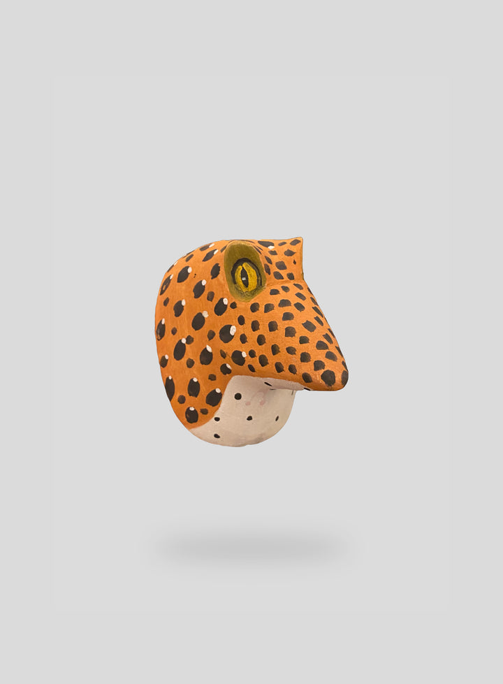 The Spotted Frog