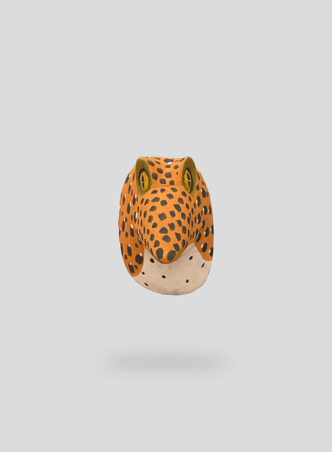 The Spotted Frog