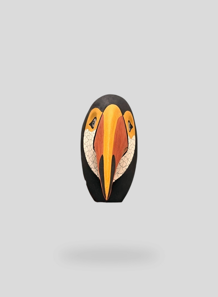 The Toucan