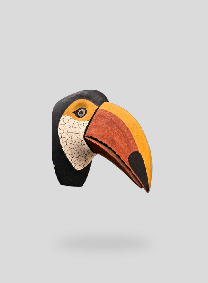 The Toucan