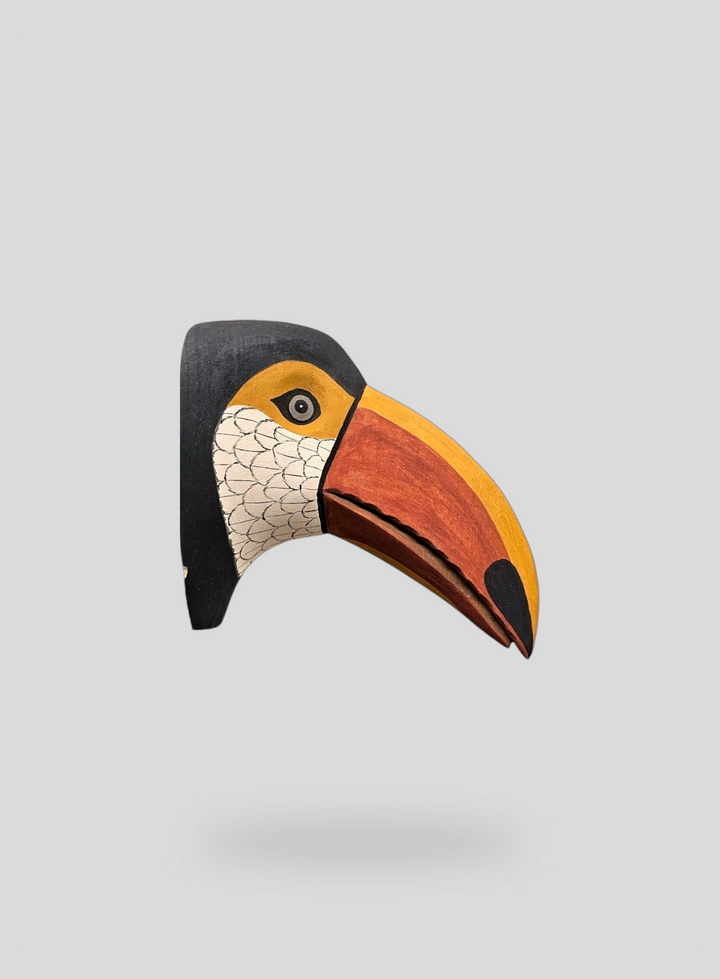 The Toucan