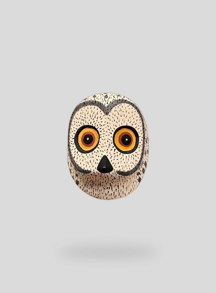 The Little Owl