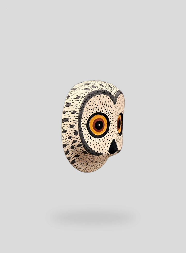 The Little Owl