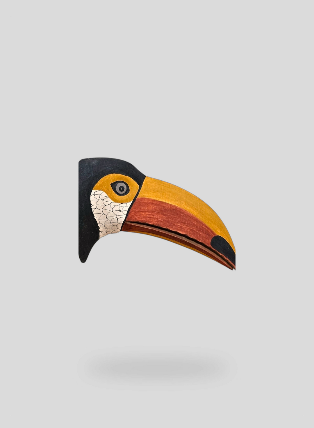 The Toucan