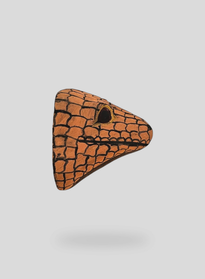 The Lizard