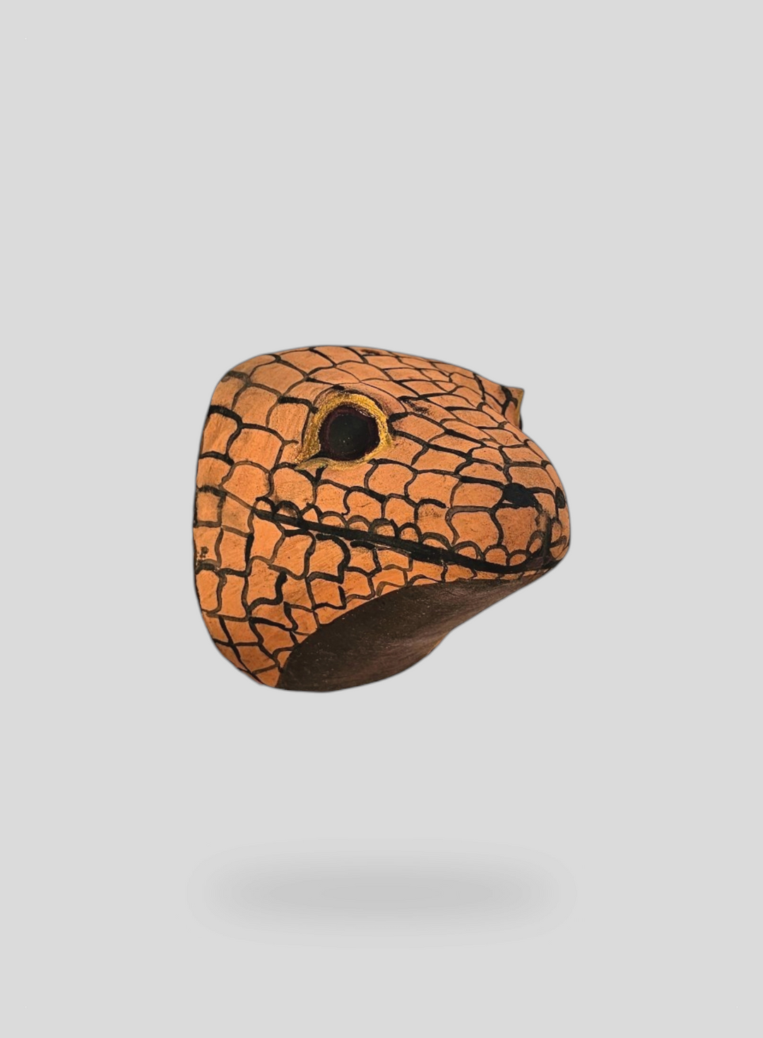 The Lizard