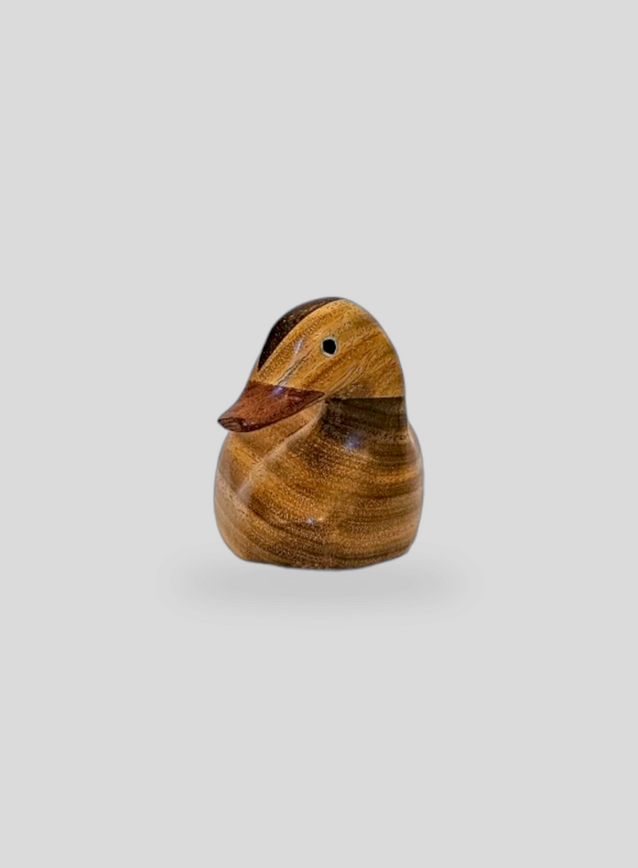 The Duck Carving