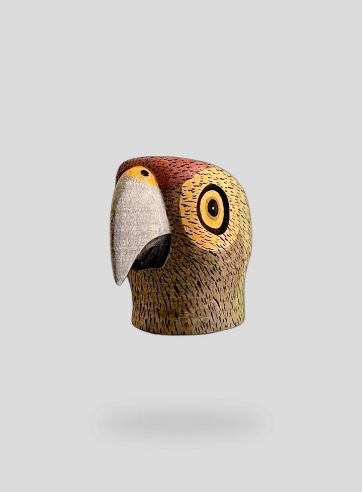 The Mini Parrot