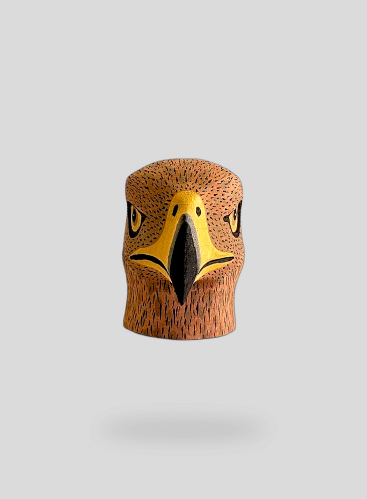 The Mini Hawk