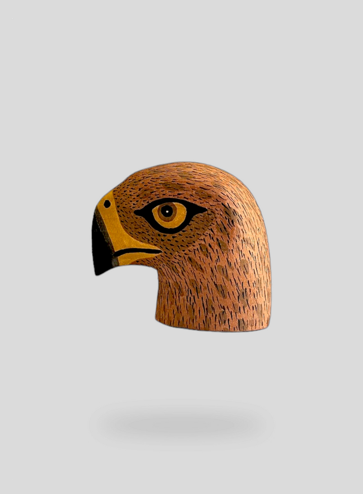 The Mini Hawk
