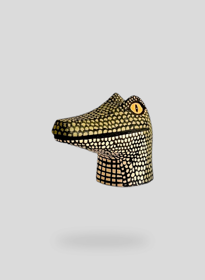The Mini Crocodile