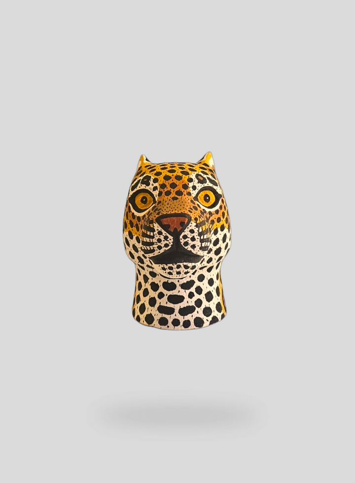 The Mini Jaguar
