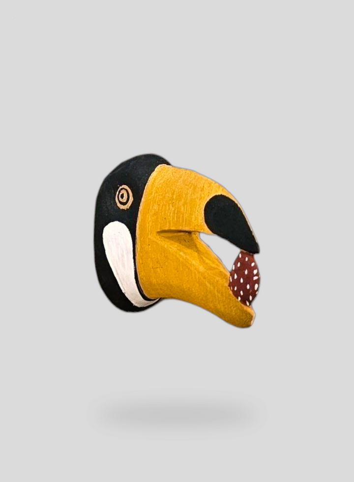 The Toucan