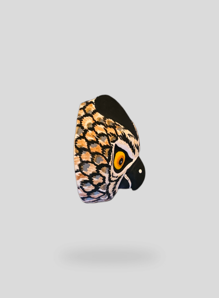 The Screech Owl