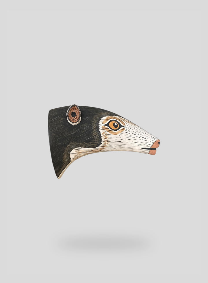 The Anteater