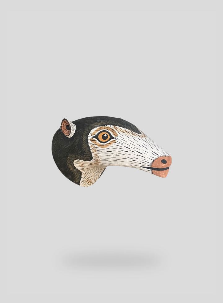 The Anteater