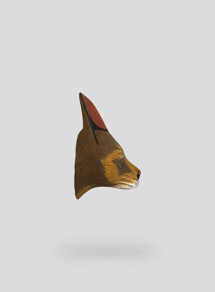 The Northern Fox