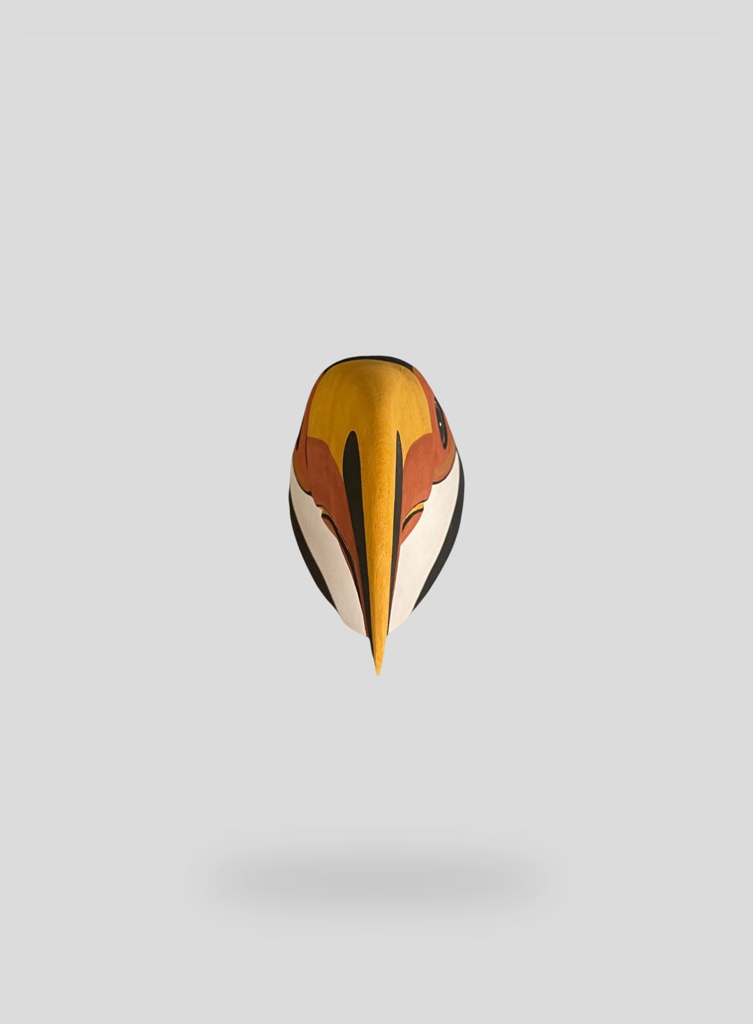 The Large Toucan
