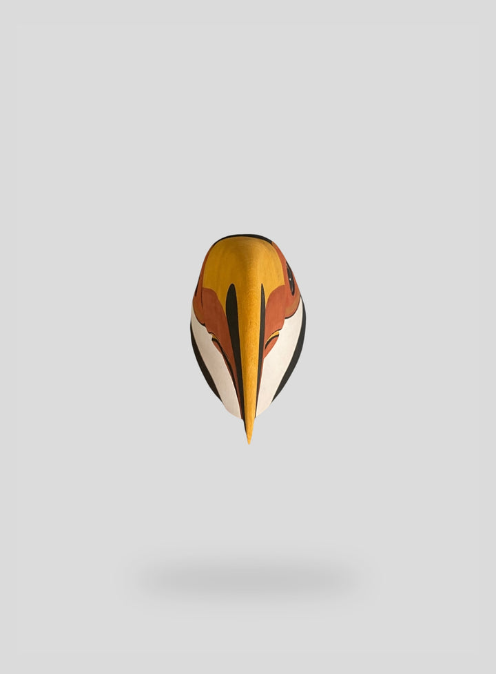 The Large Toucan