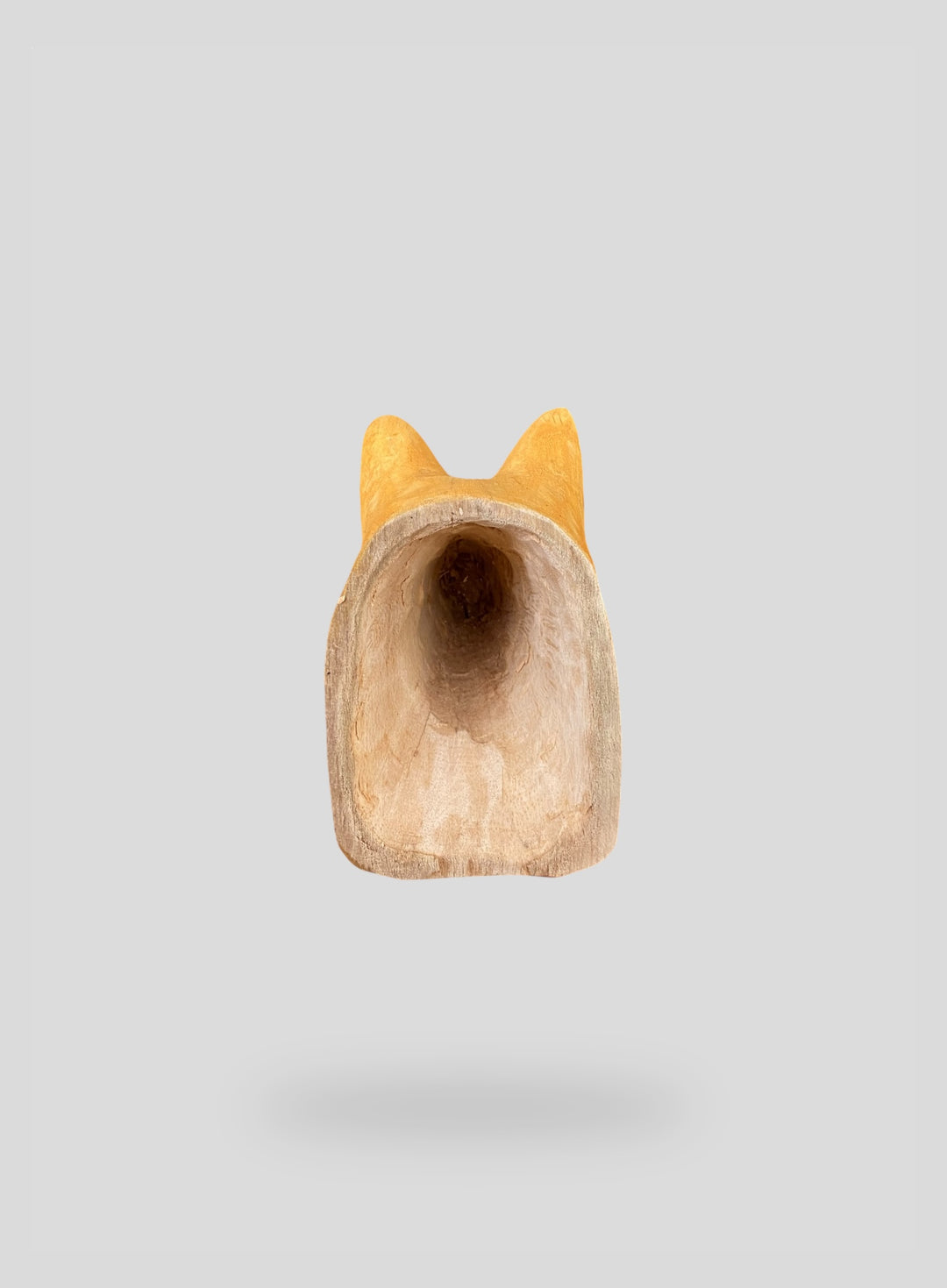 The Capybara