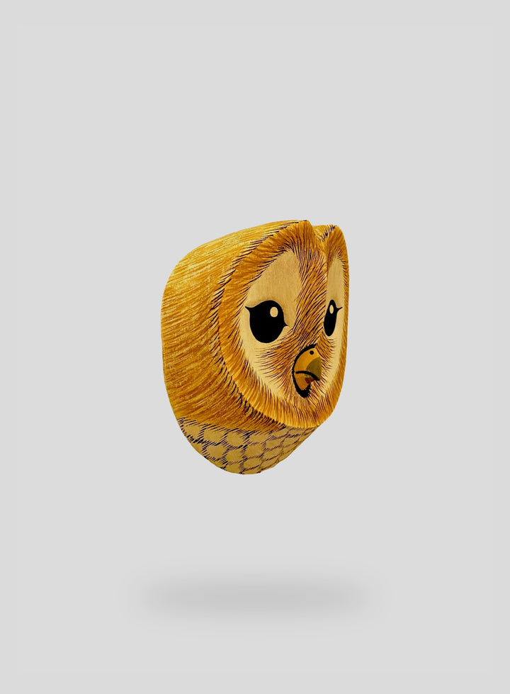 The Barn Owl
